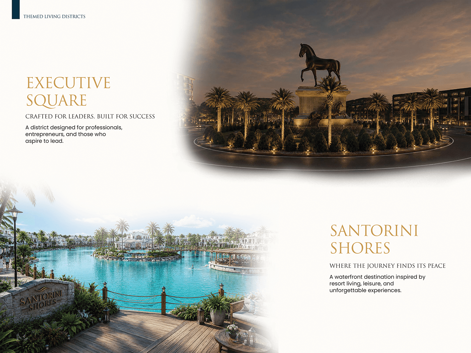 Company Brochure
